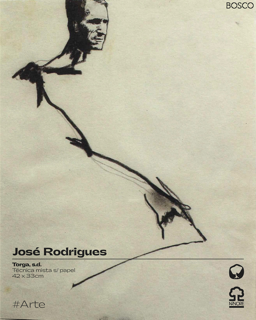 José Rodrigues