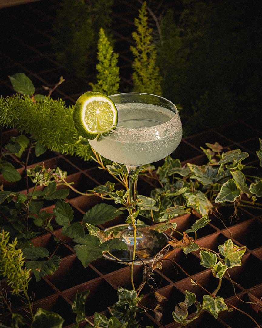 Cocktail Margarita