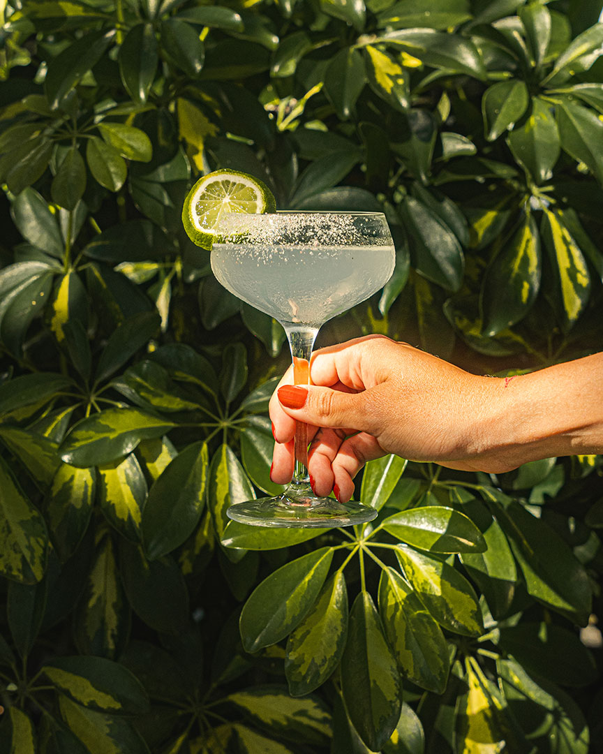 Cocktail Margarita